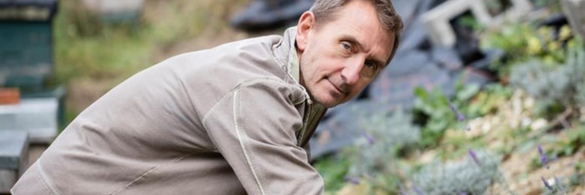 Bee Quest - Dave Goulson | Boeken