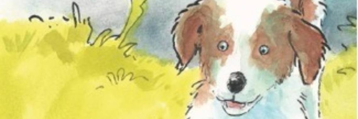Puppy's! Zoek Sil! | Boeken