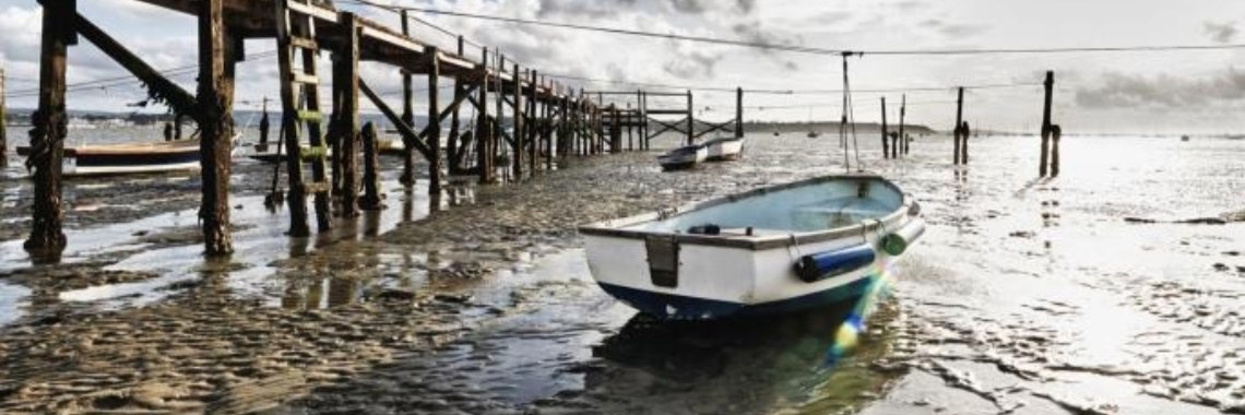 Tide - Hugh Aldersey-Williams | Boeken