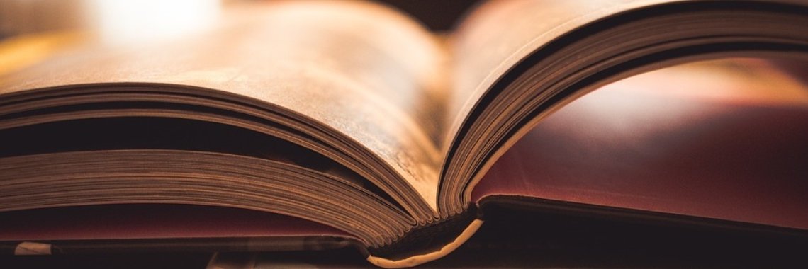 Waarom we de meeste boeken die we lezen vergeten. | Boeken