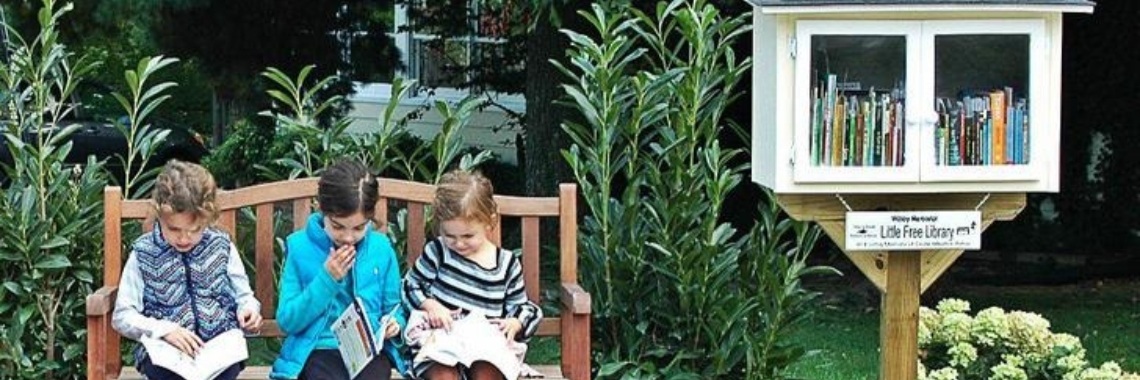Wat is little free library? | Boeken