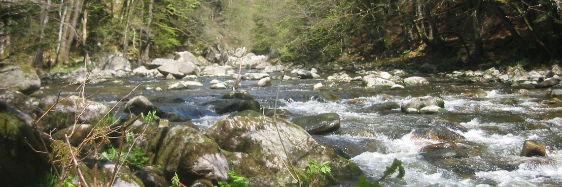 Höllbachwasserfälle in Görwihl | Quirina