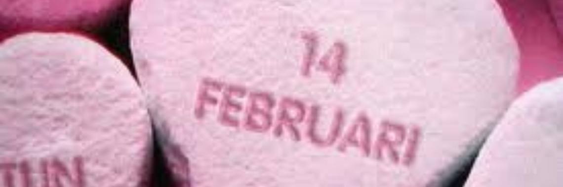 Vandaag is het 14 februari #valentijnsdag | The wandering chick
