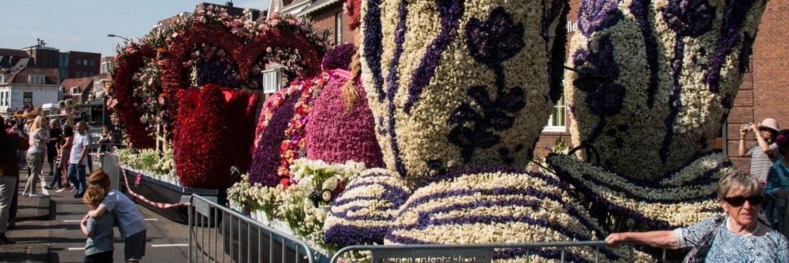bloemenpracht in Haarlem centrum | Frits Hendriks Fotografie