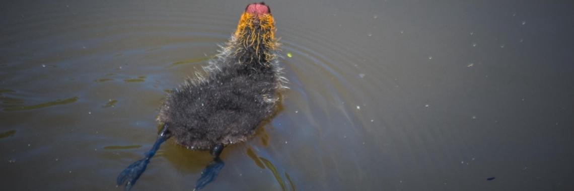 gewoon wat mooie plaatjes | Frits Hendriks Fotografie