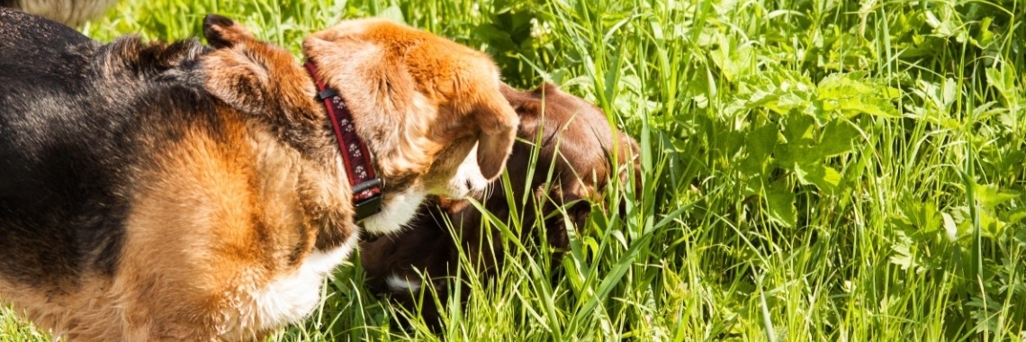 mijn eigen fotomodel | Frits Hendriks Fotografie