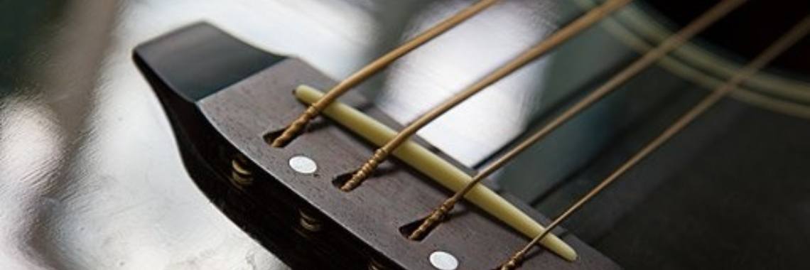 Akoestische Basgitaar: De voor- en nadelen | Marlies
