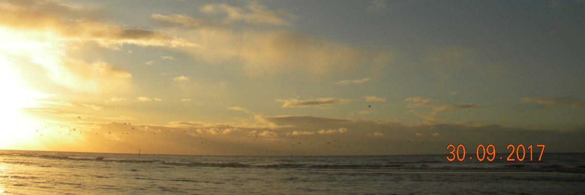 Authorless music that belongs to everyone [second song] | Shodo