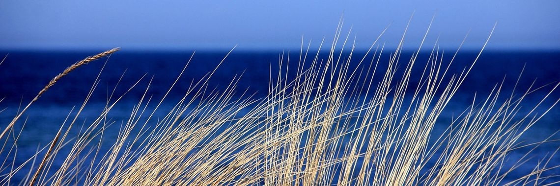 Toeristen in de oneindigheid [Experimenteren met poëzie/schrijven] | Shodo