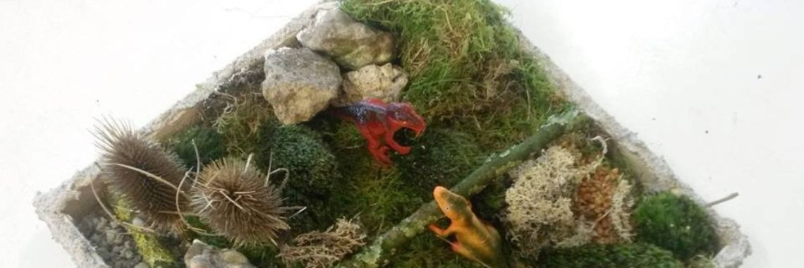 Leuke dino activiteiten voor BSO of kinderfeestje | NOOS Happy Words