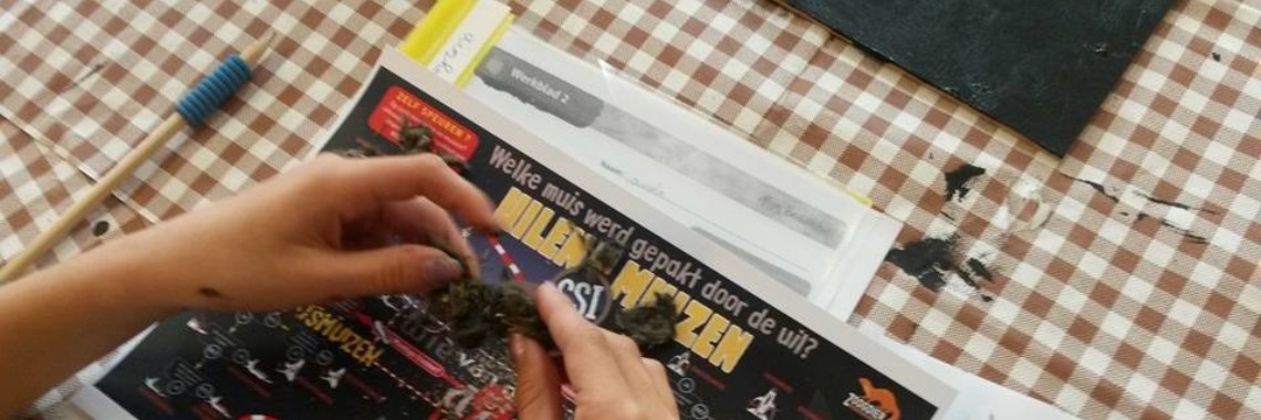 Braakballen pluizen hoe doe je dat? | NOOS Happy Words