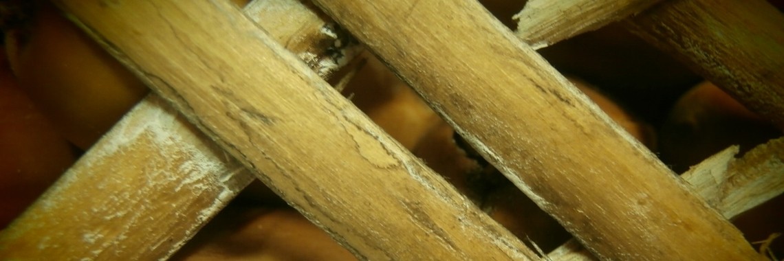 Dit is dag één van de rest van mijn leven. | angel in the dark