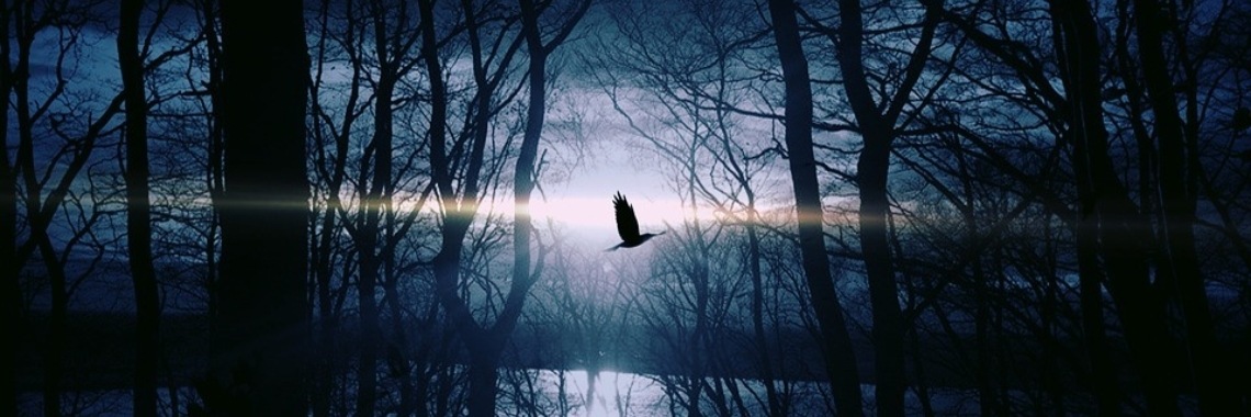 the secret | angel in the dark