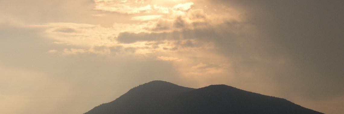 Onze gasten | annette