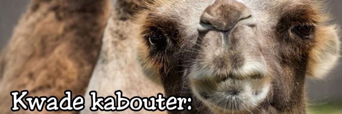 Dasty's dikke dampen - 4 | Catrine-DeMew