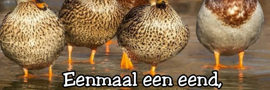 eenmaal-een-tautogram-yoors