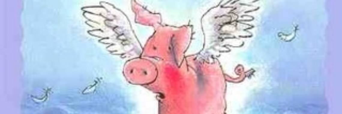 Je bent zomaar geen engeltje (kinderboek) | Catrine-DeMew