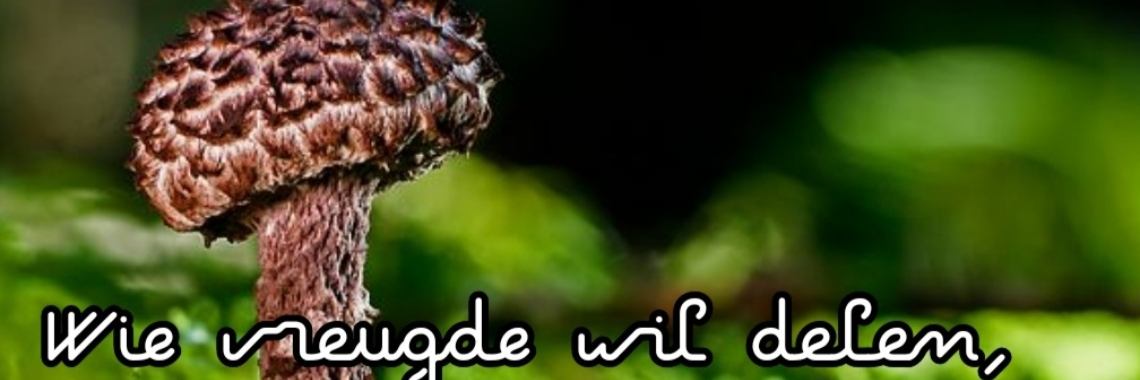 Wie vreugde wil... (nieuw spreekwoord) | Catrine-DeMew