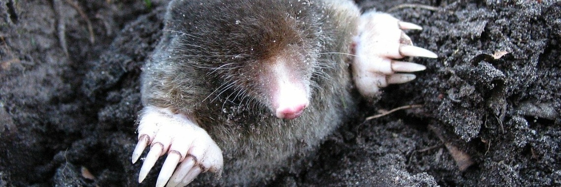 Jubileum WIDM Aflevering 7 | Jolanda