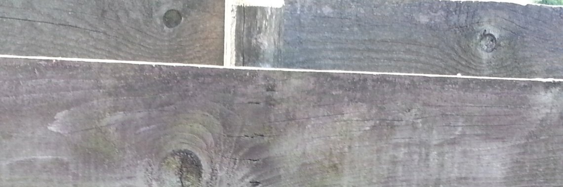 Schutting-gezicht | Jolanda