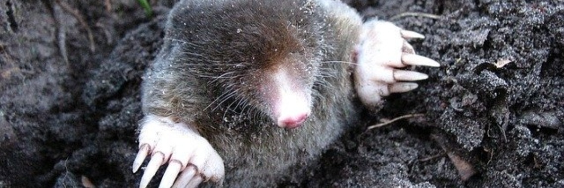 WIDM 2021, aflevering 1 | Jolanda