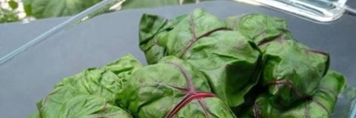 Gevuld snijbiet blad | Lies