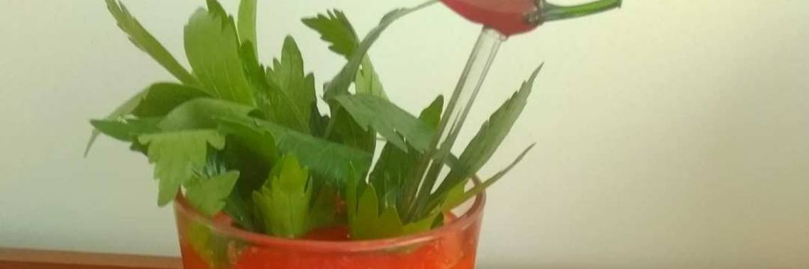 Homemade gazpacho | Lies