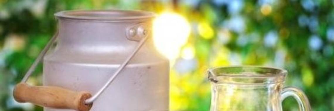 Zelfgemaakte kaas | Lies