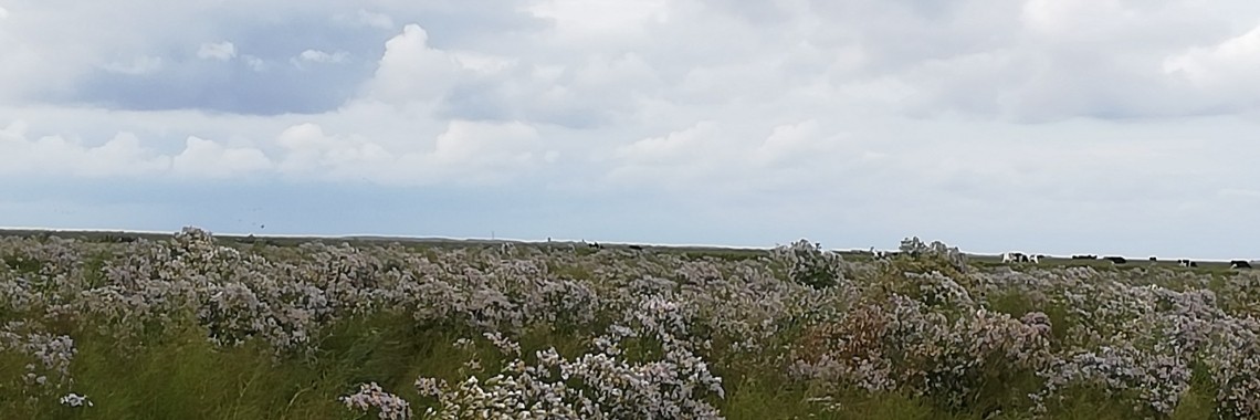 Met een glimlach werd ik uitgezwaaid | Olga