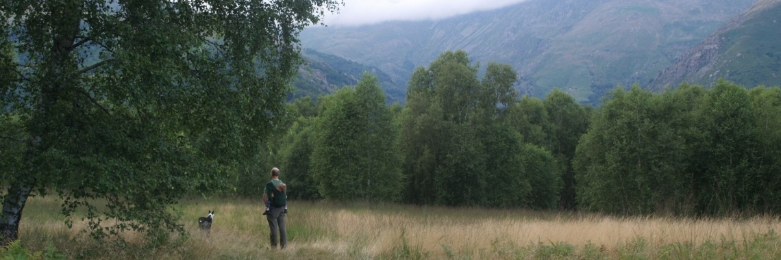 Berkensap gedronken dit jaar! | ErikaHenriVitaPura
