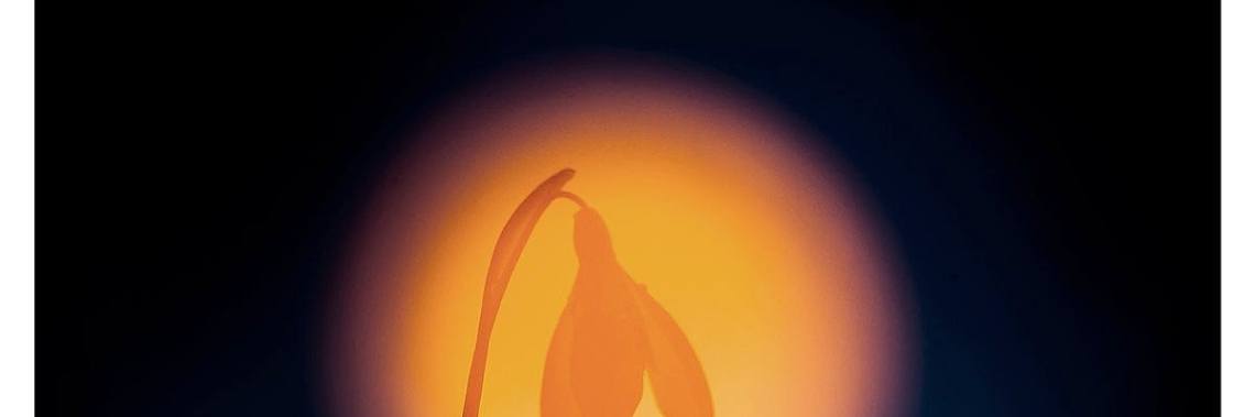 Looking on the other side | Flying Eagle
