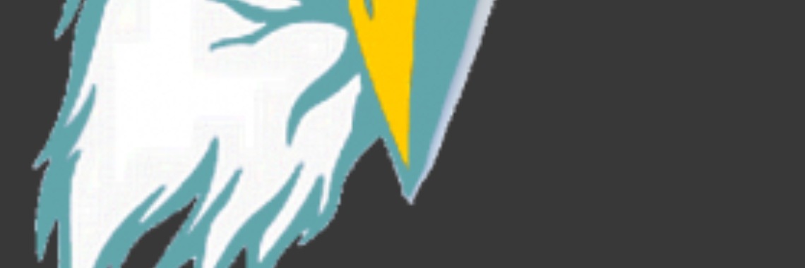 Anders leven na corona? | Flying Eagle