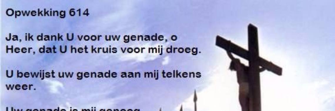 The Reason of Easter: Only Jesus' Sacrifice | Flying Eagle