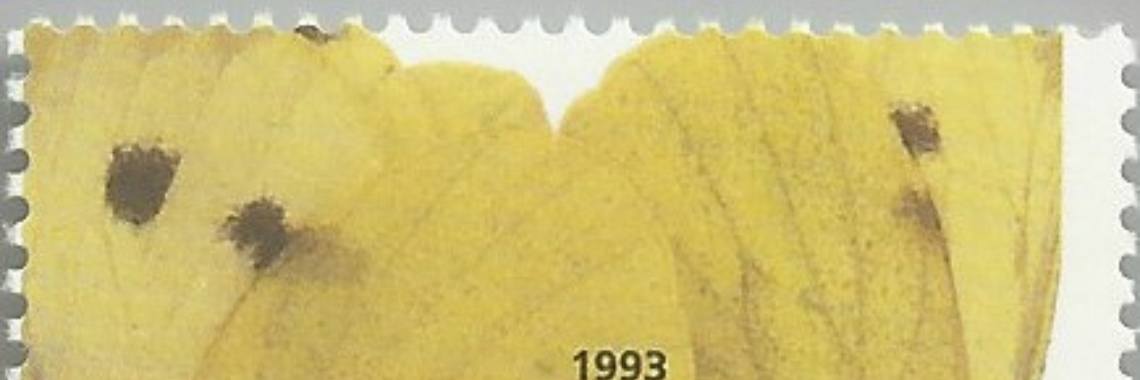 Een apart gevoel (5) | Flying Eagle