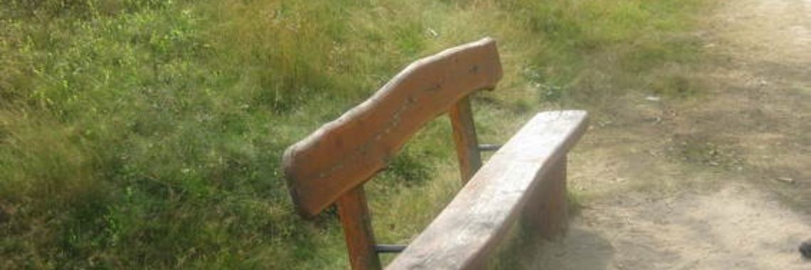 Een ster in de morgen | Flying Eagle