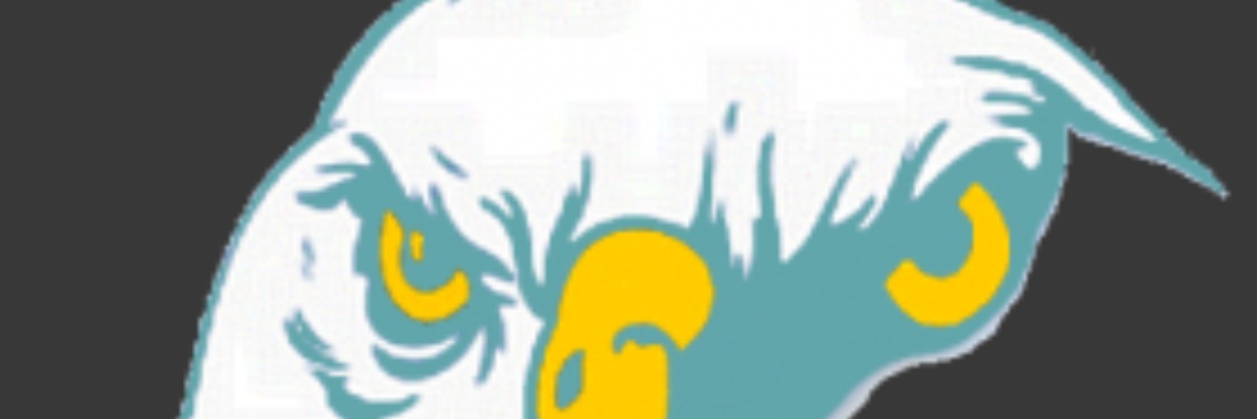 Einde contant geld? | Flying Eagle