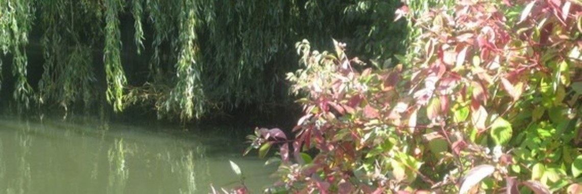 Herfstdepressie is niet nodig; geniet van de kleuren! | Flying Eagle