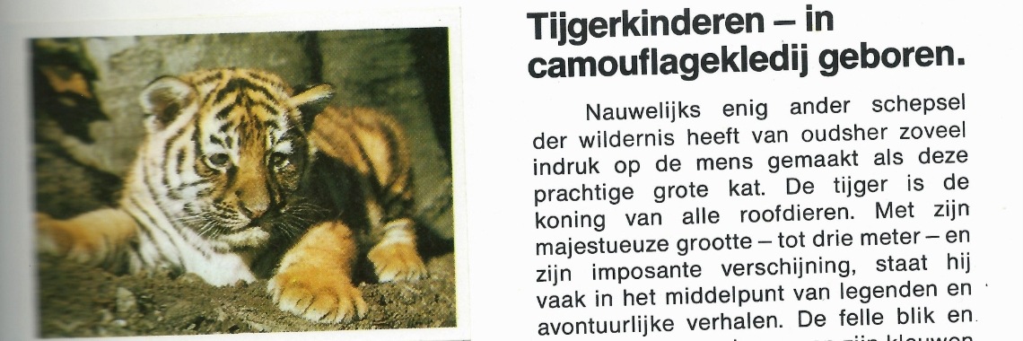 Herinnering aan baby's van de wildernis | Flying Eagle