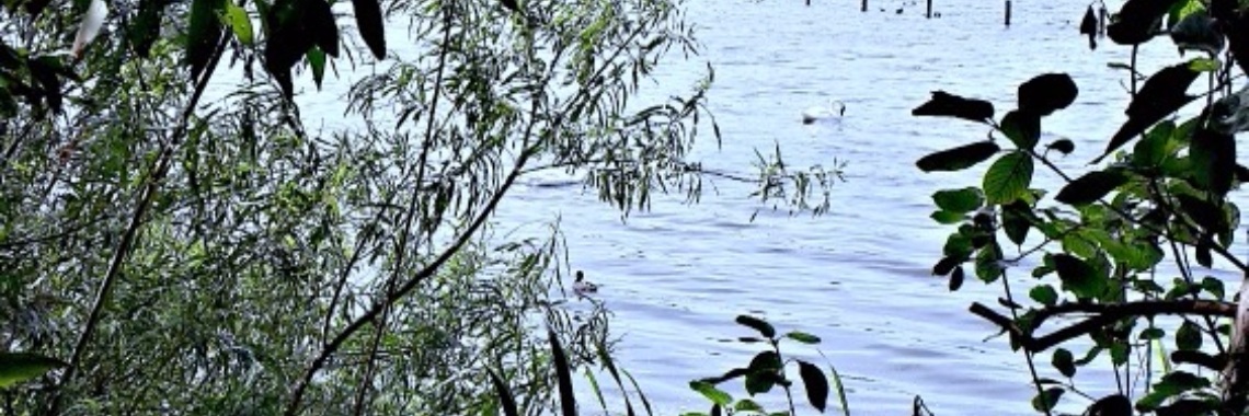 Het eerste punt van de vergadering | Flying Eagle