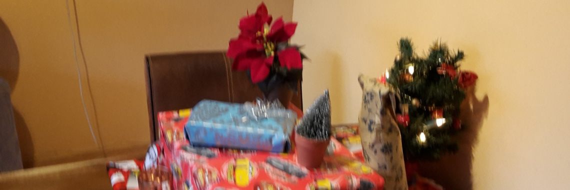 Het Kerstbos in beeld | Flying Eagle