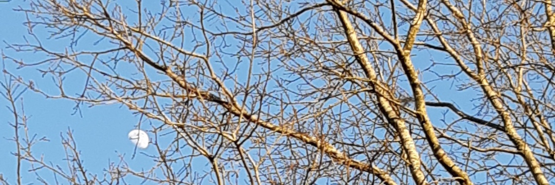 Het verhaal van Kennis en Vriendschap | Flying Eagle