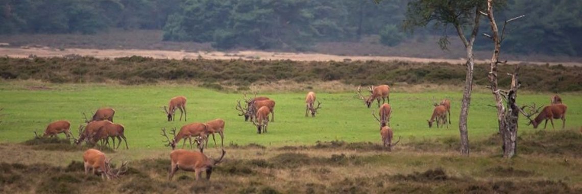 Is Jezus Heer? Geef jij God de leiding over je leven? | Flying Eagle