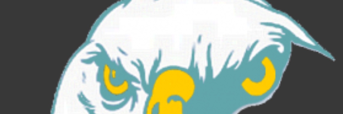 Komeet in beeld | Flying Eagle