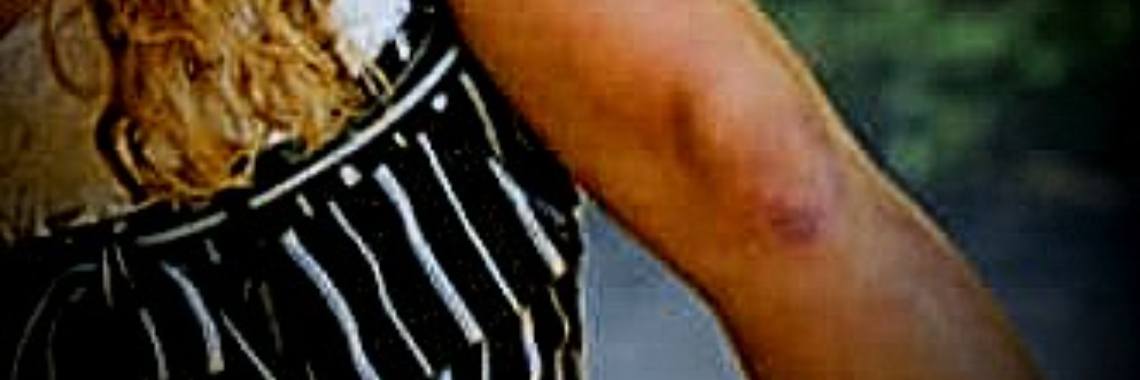 Overwinning vasthouden (208) | Flying Eagle