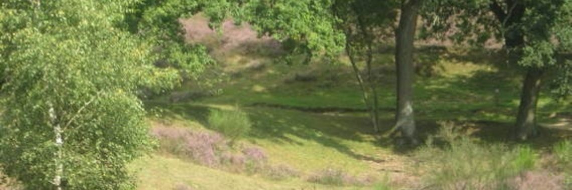 Posbank (fotoreportage) | Flying Eagle