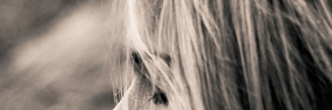 Reactie op straf (6 - slot) | Flying Eagle