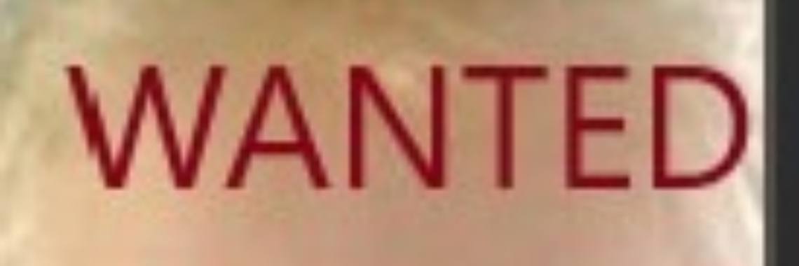 Steen door de ruit | Flying Eagle