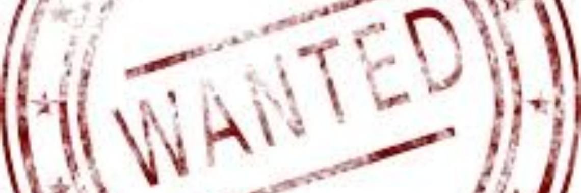 Terreurorganisatie CIS: Knallen en schieten | Flying Eagle