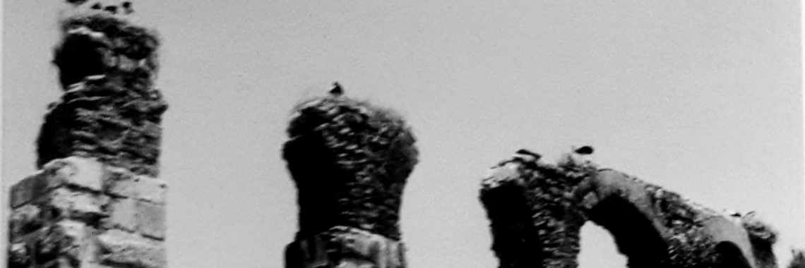 This is my life - Zwartwit 10-daagse (9) | Flying Eagle