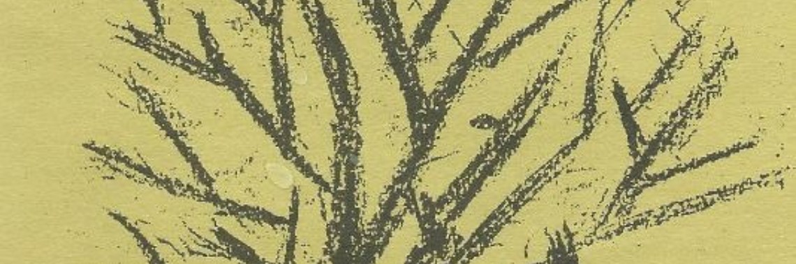 Surprising visit (90) | Flying Eagle